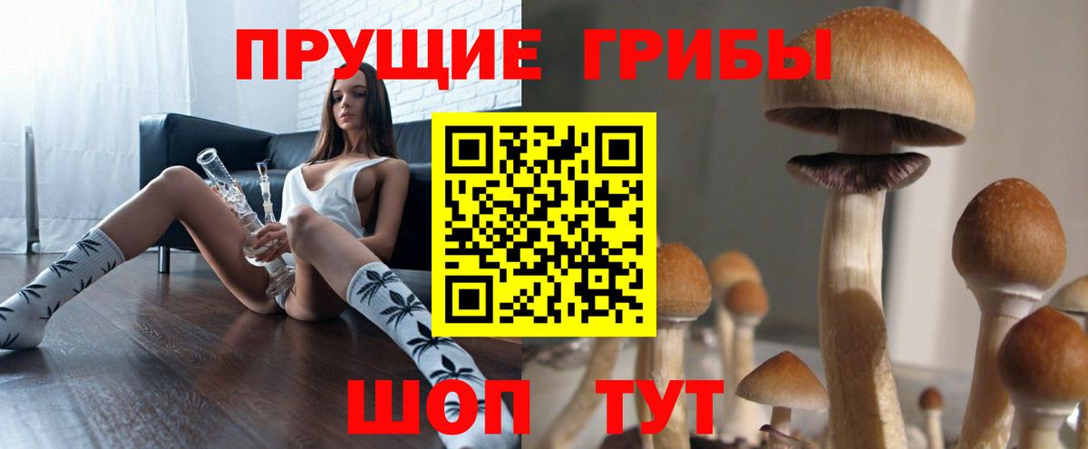 Батайск  Псилоцибиновые грибы мицелий  Вход с VPN 